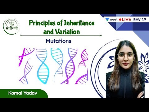 Mutations | Principles of Inheritance & Variation | L11 | Komal Yadav