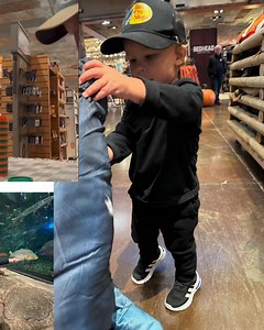 Edwin Evers on Reels