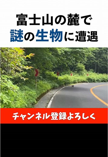 TikTokでマウンテンランナーワープさんをチェック！