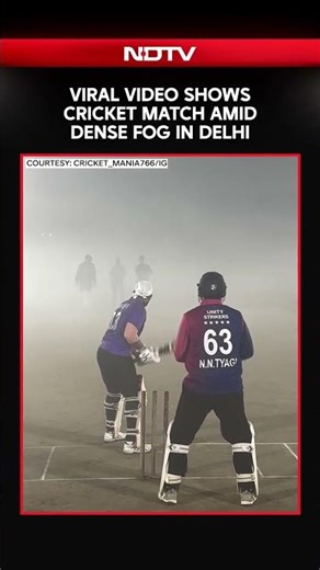 Viral Video Shows Cricket Match Amid Dense Fog In Delhi
