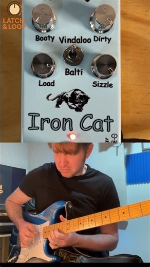 MAD SUSTAIN 😼 Iron Cat Hi-Gain Pedal | Endless Notes #shorts #guitar #guitarpedals
