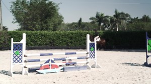 4.9K views · 35 reactions | Rider position is crucial regardless of...