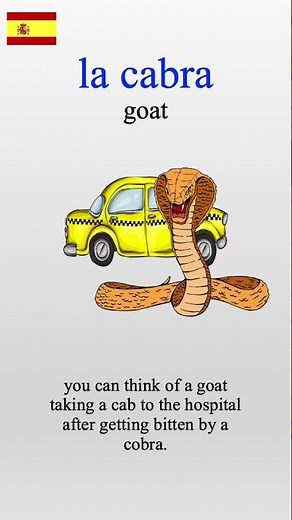 🐐 Learn Spanish with Mnemonics – The Goat's in the Cab