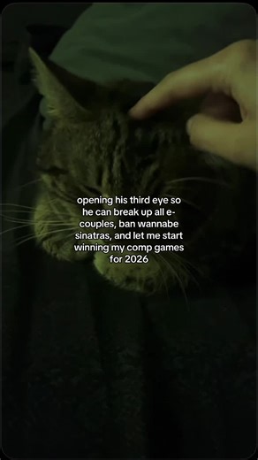 heavy emphasis on the ecouples one 🙏🙏 #fyp #foryou #foryoupage #valorant #cat