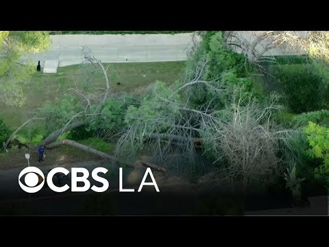 Strong Santa Ana winds cause damage across Southern California
