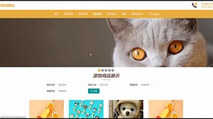 计算机毕业设计之基于Java的宠物商城网站