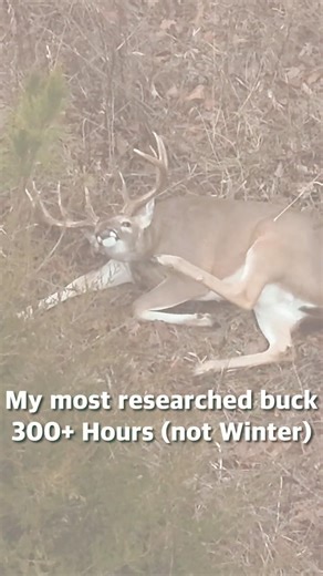 Guess the Age & Score of This Buck