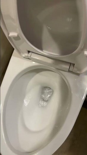 Why is this Japanese toilet impossible to clog? | Toto Eco UltraMax 1.28GPF