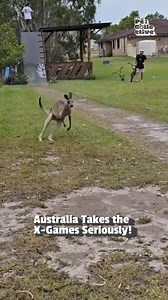73K views · 259 reactions | Kangaroo Jack is back! (Via - Nathan P.) 輦 #Kangaroo #Australia #Funny #XGames #KangarooVideos #BMX | Try Not to Laugh | Facebook
