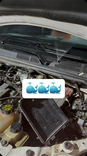 Izzatilloh Nurmuhammadov | Peredoxranitel almashiramiz🐳 | Instagram