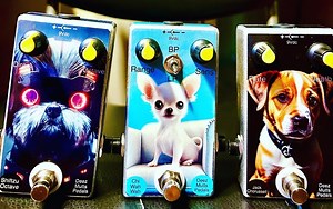 Chi Wah-wah Envelope Filter - Etsy Canada