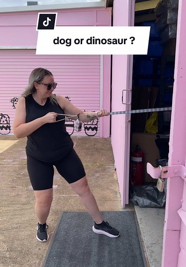big dogs >> 🦖 #dog #dinosaur #doglovers #dogsoftiktok #fypシ