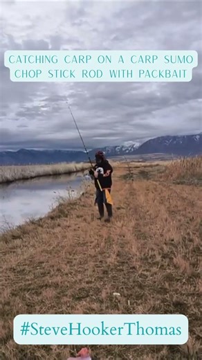 Here's a quick video of me using my method feeder and pack bait, with a nice catch at the end.