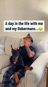 The reaction of the dog when I put on the mask funny dog 🐺💕 #dog #man #funnydog #fyp #funny #funnydogs #funnyvideos | Horizon News