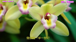 《从来是一对》欣赏，什么软件可以播放rmvb格式