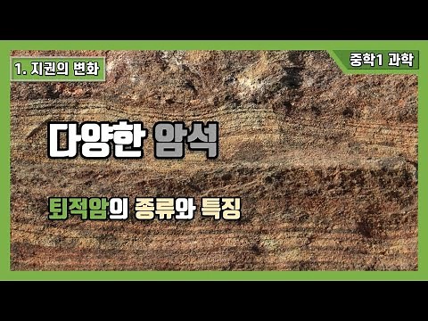 [Middle School 2nd Year Science] 2. Changes in the Lithosphere - Sedimentary Rocks