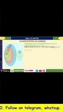 Class 10 Maths Chapter 1: Classification of Numbers Explained 🔥