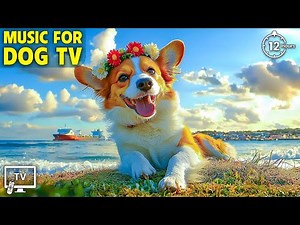 12 Hours of Best Music for Dogs with Anti Axiety When Home Alone 🐶 Gentle Music to Keep Dogs Relax
