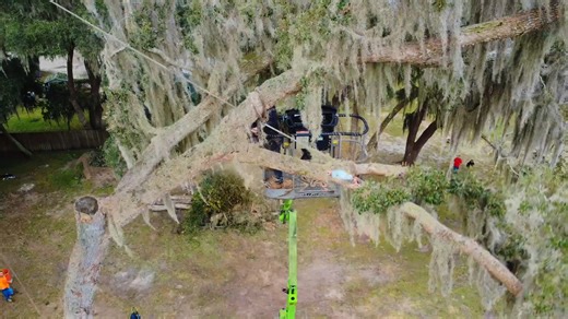 6.7K views · 118 reactions | NEW BUILD ALERT  The first process in a new build is tree removal and clearing the lot. Joe shows us first hand what its like on day 1 #home #homedecor #construction #HomeImprovement #builders | Wiggins Construction Company | Facebook