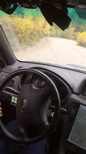 Send this to your road trip buddy