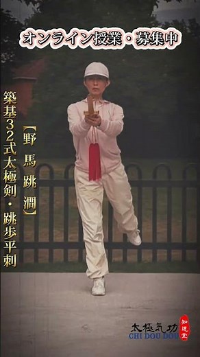 Foundation Building 32-Form Tai Chi Sword - Knee Raise and Sword Holding, Jumping Thrust / Zhidao...