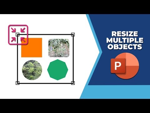How to resize multiple objects in PowerPoint