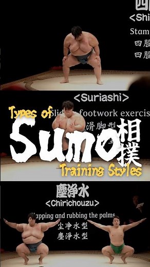 Types of Sumo Training Styles｜JNTO