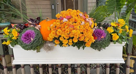 Wow Windowboxes – Custom Irrigated Windowboxes for Seasonal Colors Year Round