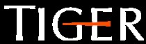 About Tiger Capital Group | Leaders in Asset Solutions