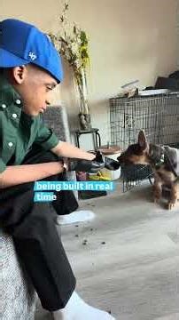 5 ways pet interaction builds skills for autistic children 👇🐾 Fine motor skills — holding,