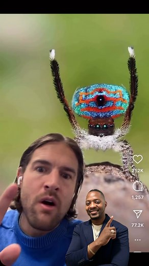 THE ORACLE DONE FOR YOU ACADEMY on Instagram