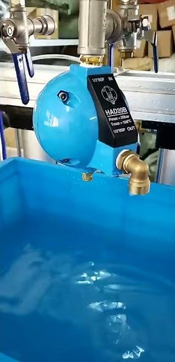 Auto Drain Valve