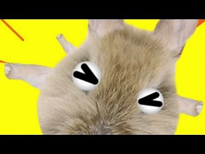 Nickelodeon Bumper & Idents 2015