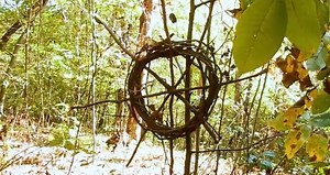 Team seeks Woman of the Woods in the Dark Forest on Mountain Monsters