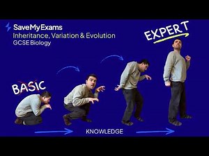 Inheritance, Variation & Evolution: AQA GCSE Biology
