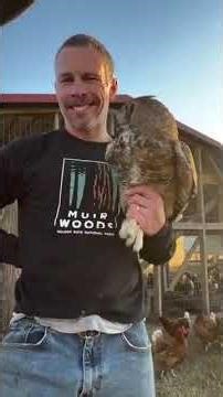 Man caught the owl that was eating his chickens.