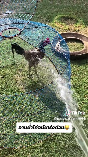 อาบยังไงก็เปียกเหมือนกันแหละเนาะ55555#เจ้าแสนนคร #ลูกแสนกล #แสนกลมีสุวรรณทีม_แชมป์_70ล้าน #แสนกลพม่าแห่งปี #แสนกลแดงหล่อมหานคร #มีสุวรรณทีม