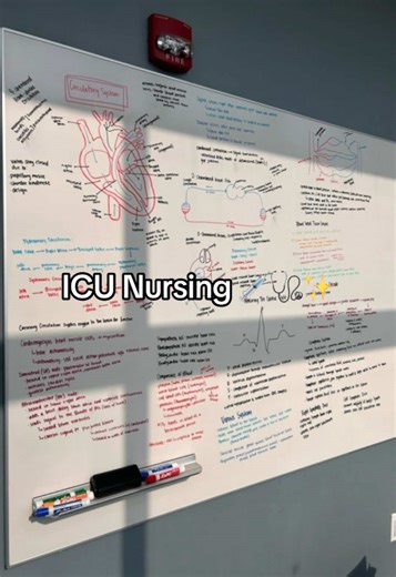 ICU Nursing: A Day in the Life of Critical Care Nurses