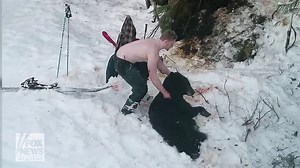 Humane Society releases video of father and son killing protected bears