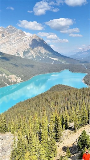 The Breathtaking Beauty of Banff’s Peyto Lake