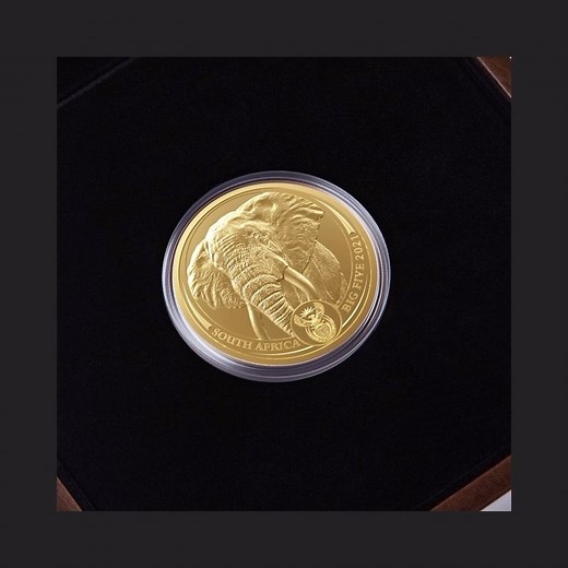 27 reactions · 9 comments | The South African Mint 5oz gold coin makes a return in 2023 following its first appearance during the 2017 50-year anniversary of the Krugerrand. The new Big 5 Series ll 5oz gold coin ensures continuity as it forms a permanent fixture in the Big 5 portfolio, allowing you to be part of history in the making and purchase one of the first Big 5 Series ll 5oz gold coin. | South African Mint | Facebook