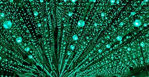 Video by Magda Ehlers on Pexels