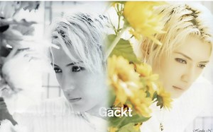 (英文字幕) Gackt - interview 01-12-2001