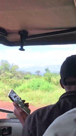 Caught between two elephants😱 #adventure #safari #nature ￼