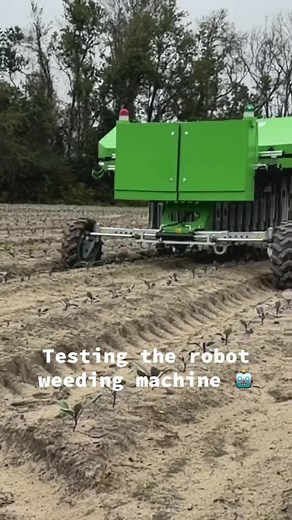 16K views · 37 reactions | Testing the AgriPass robot weeding machine. It uses Ai and a camera to identify weeds. It then lowers mechanical arms to gently uproot each weed without disturbing deeper soil structure (while avoiding the primary crop). We’re testing the machine on some cabbage we’re growing 塞. | VidaliaOnions.com - We Ship Vidalia Onions | Facebook