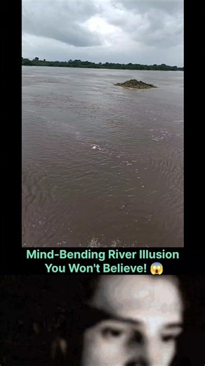 Relative Motion in Real Life: Optical Illusion! 🌀#physics #science #mystery #explore #art