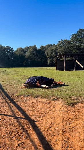 13 reactions | That was a highly satisfying roll!   | Frog Pond Farm | Facebook