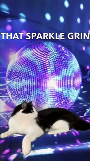 👆👆 Mirror Sugar, Liv ✨ Owen’s glam alt-pop / pop-dance spark with neon strut & camera-cat hype 🎀🐾