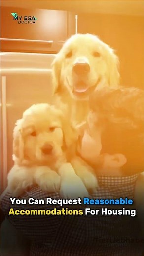 How To Apply For An Emotional Support Animal? #shorts
