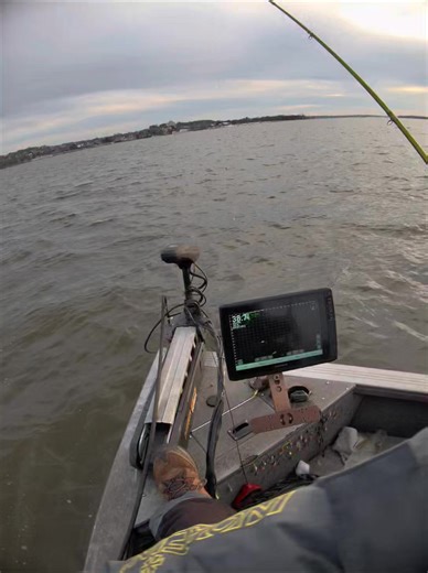 Here's a tip: deep water crappie can see chartreuse really well! Frog lips from #brushpilejigs is a great color to fetch some deep water donkeys! #jiggingfishing #fishingken | Fishing Ken